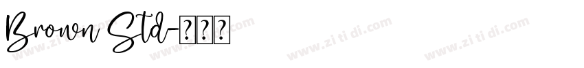 Brown Std字体转换